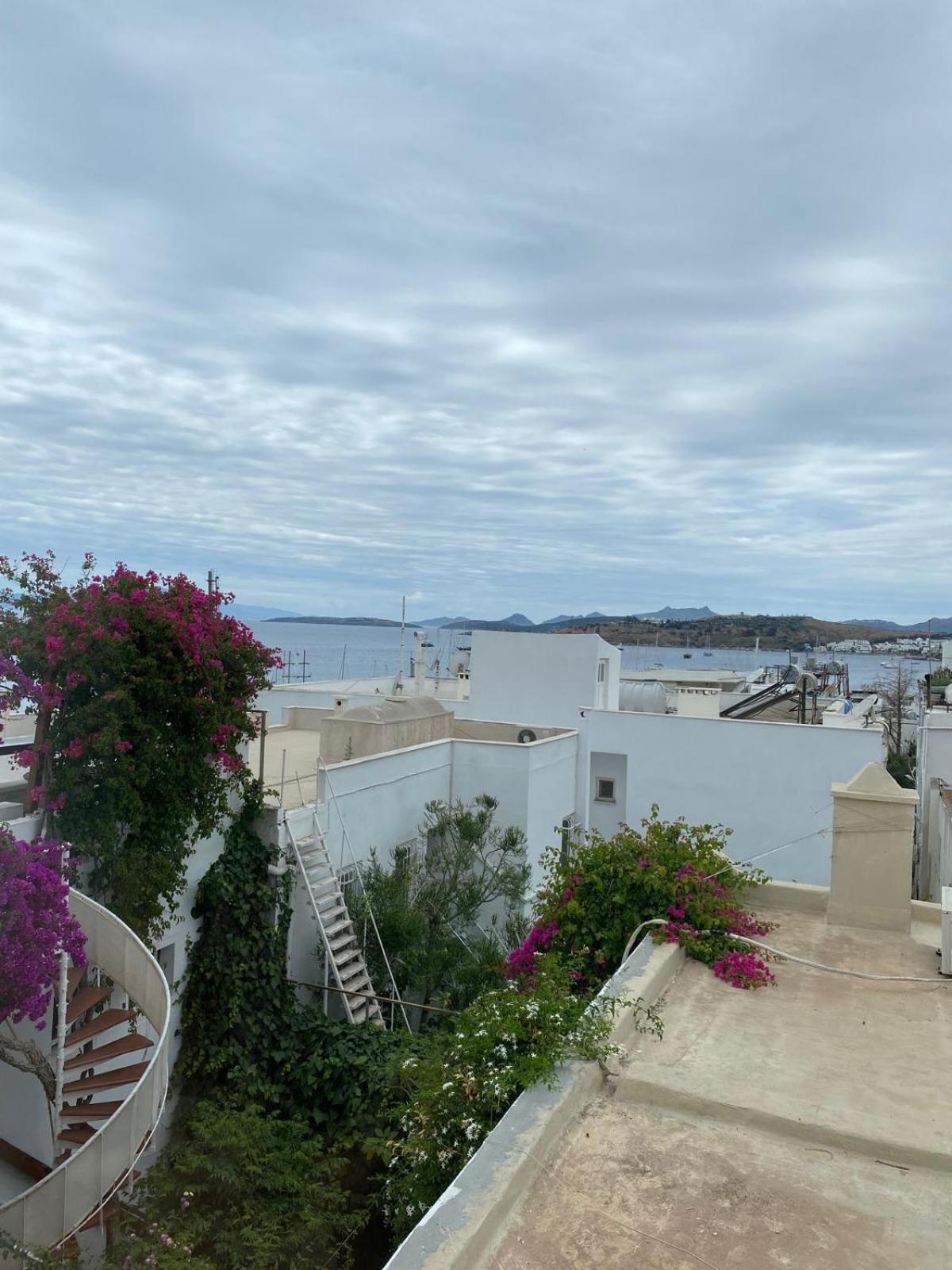 Izan Villa Bakis Apartments Bodrum Eksteriør billede