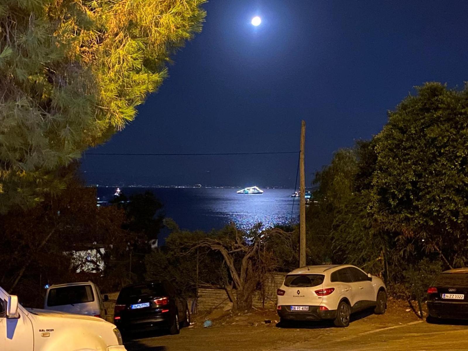 Izan Villa Bakis Apartments Bodrum Eksteriør billede