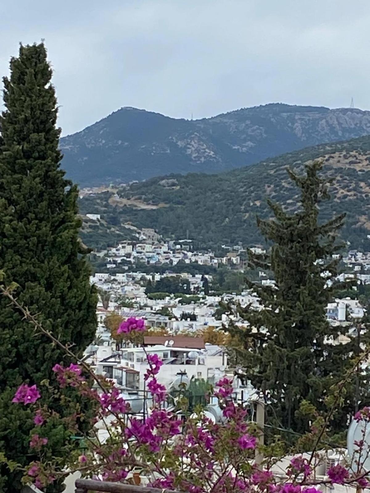 Izan Villa Bakis Apartments Bodrum Eksteriør billede